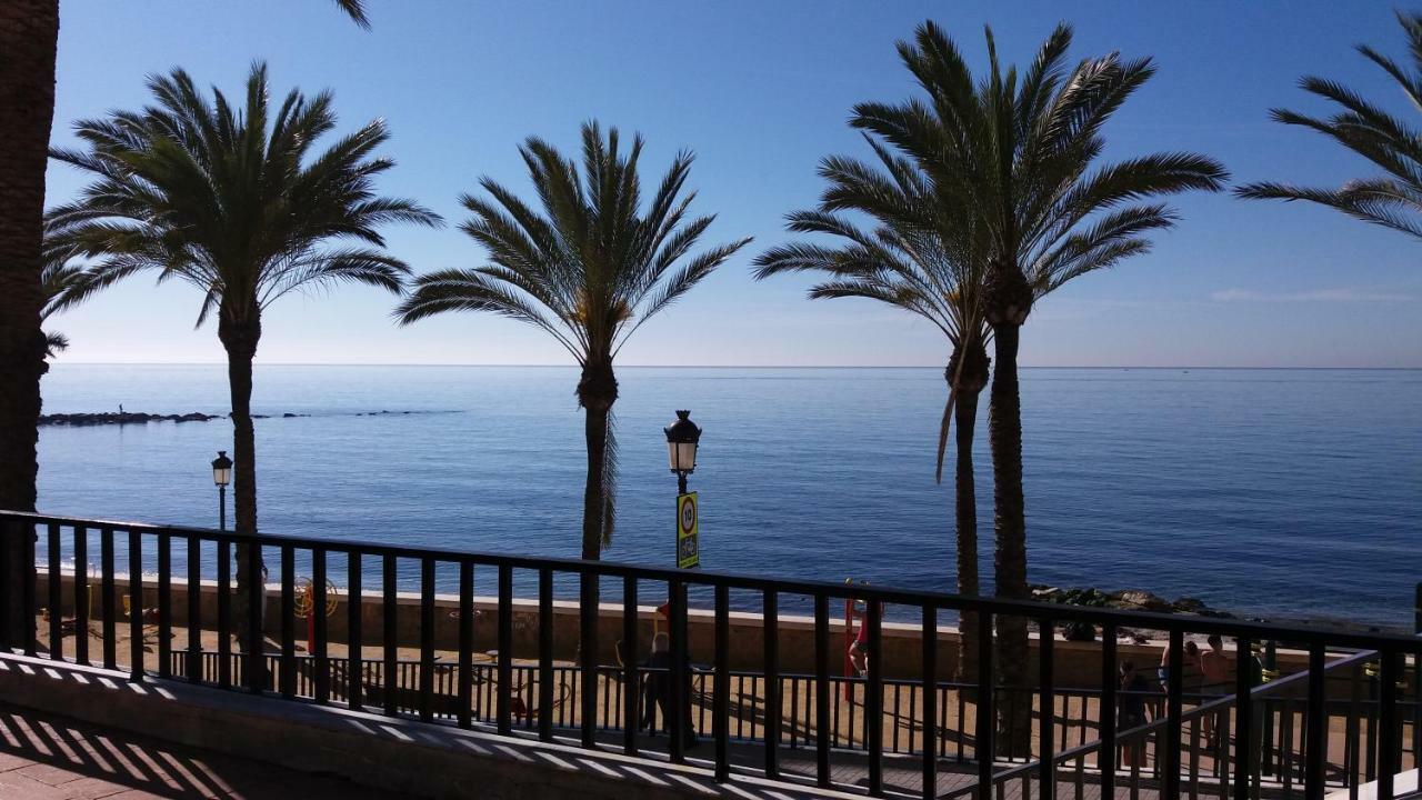 Guerra Albergue Marbella